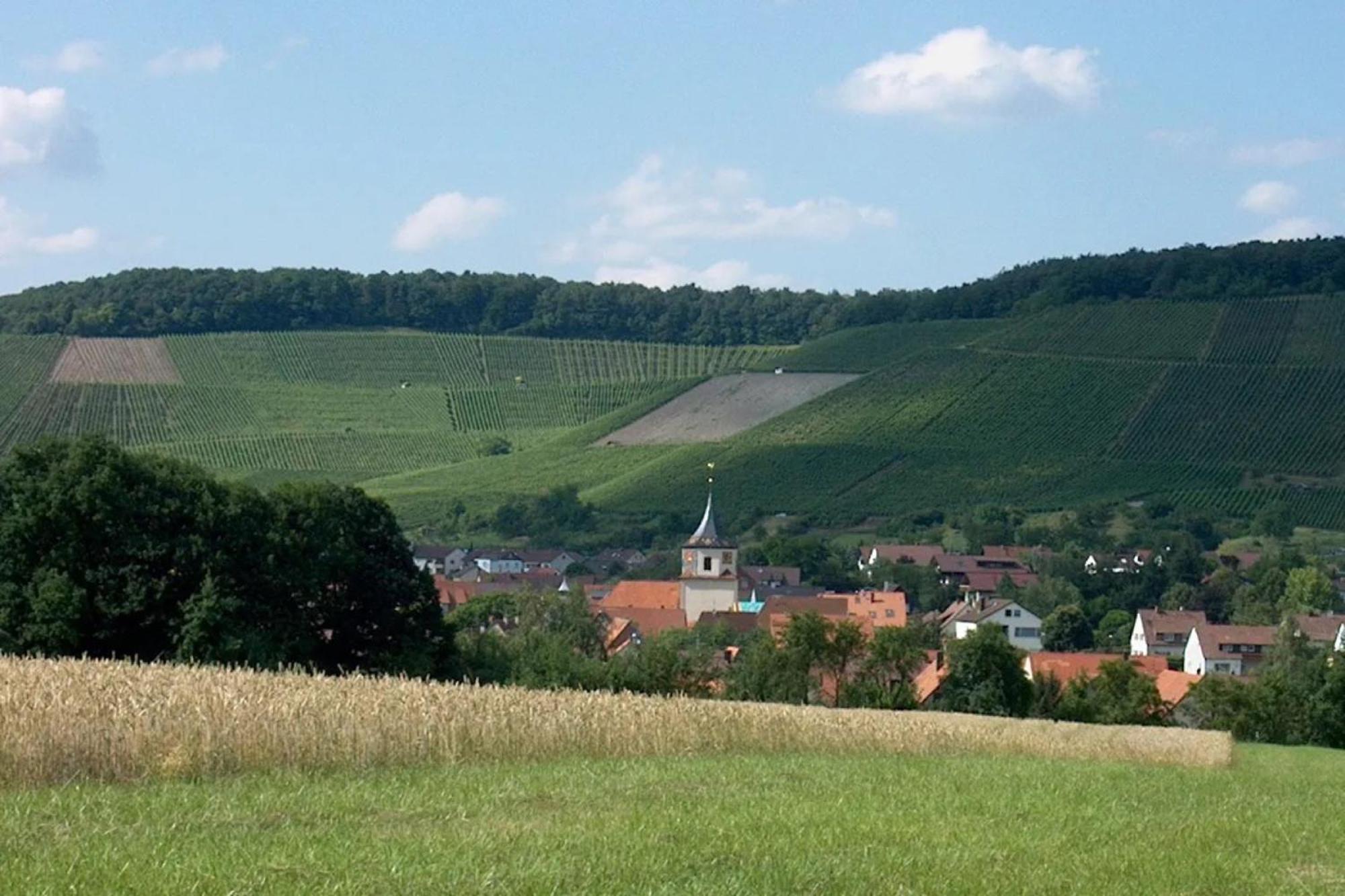Landpension Wachtkopf Vaihingen an der Enz Ngoại thất bức ảnh