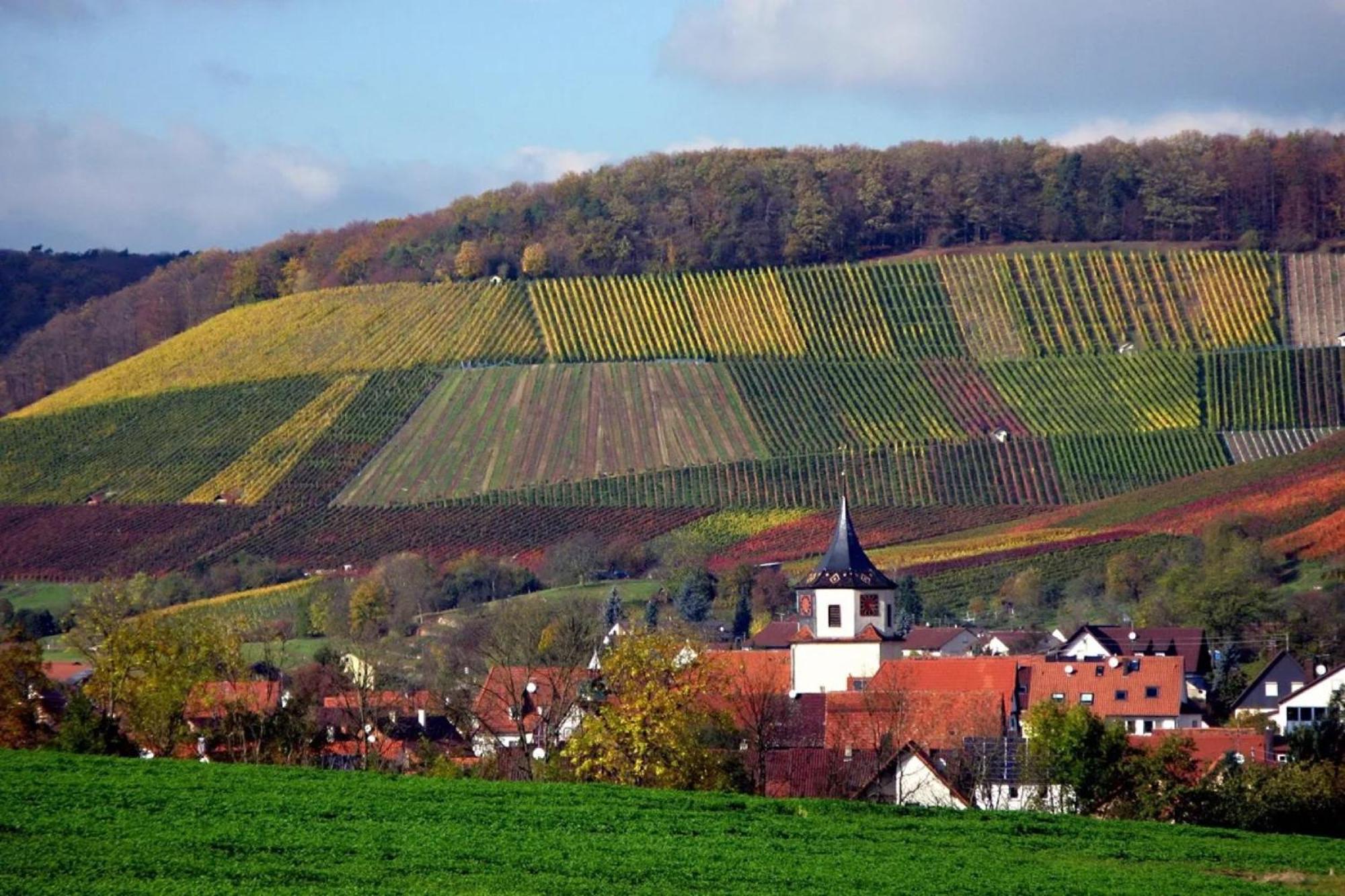 Landpension Wachtkopf Vaihingen an der Enz Ngoại thất bức ảnh